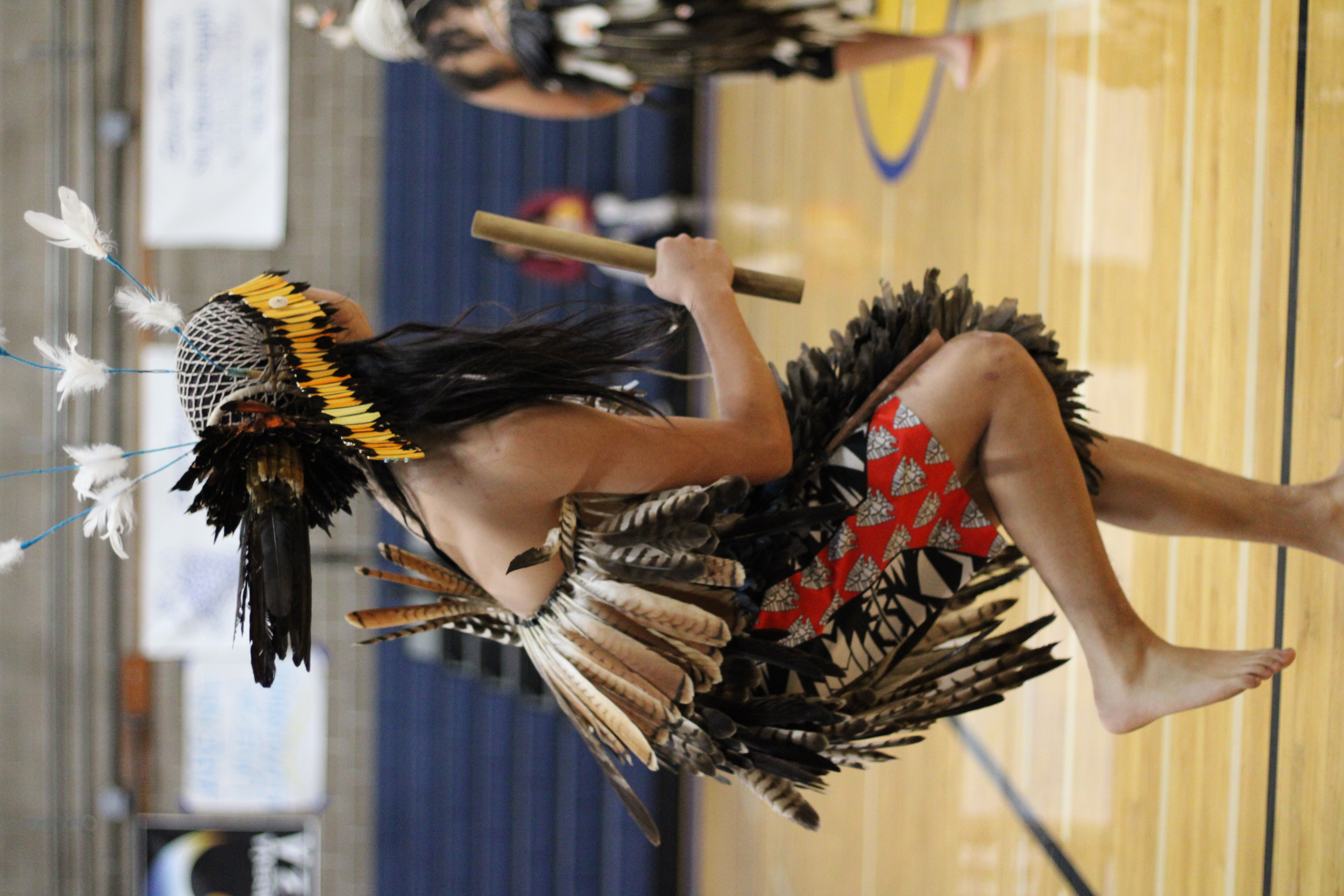 INDIGENOUSARTS-PAHS-PCANGELALANGPIRATEPRESS
