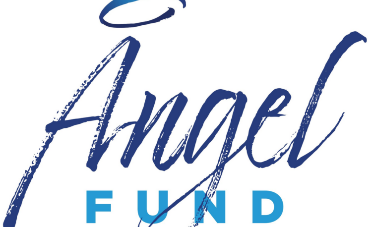 angel fund