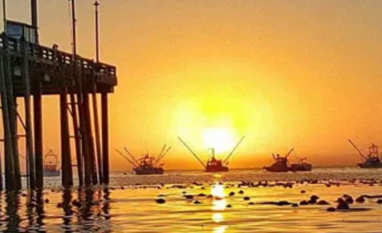 point arena seafood festival, september 3, 2023