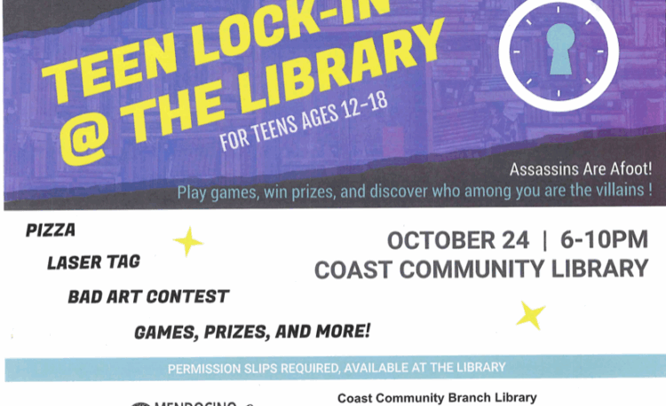 teen lockin at the library